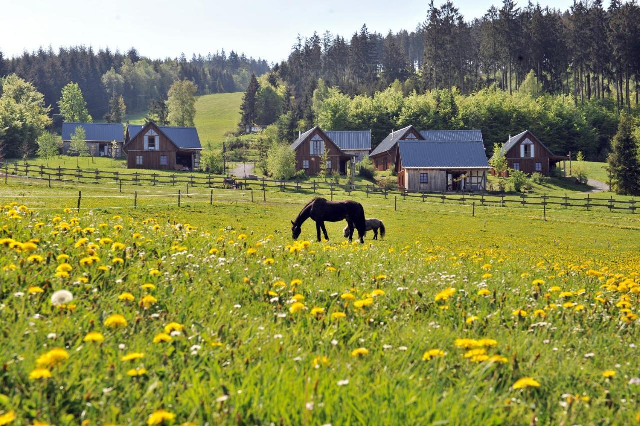 Bergdorf Liebesgruen Hotel Schmallenberg Eksteriør billede